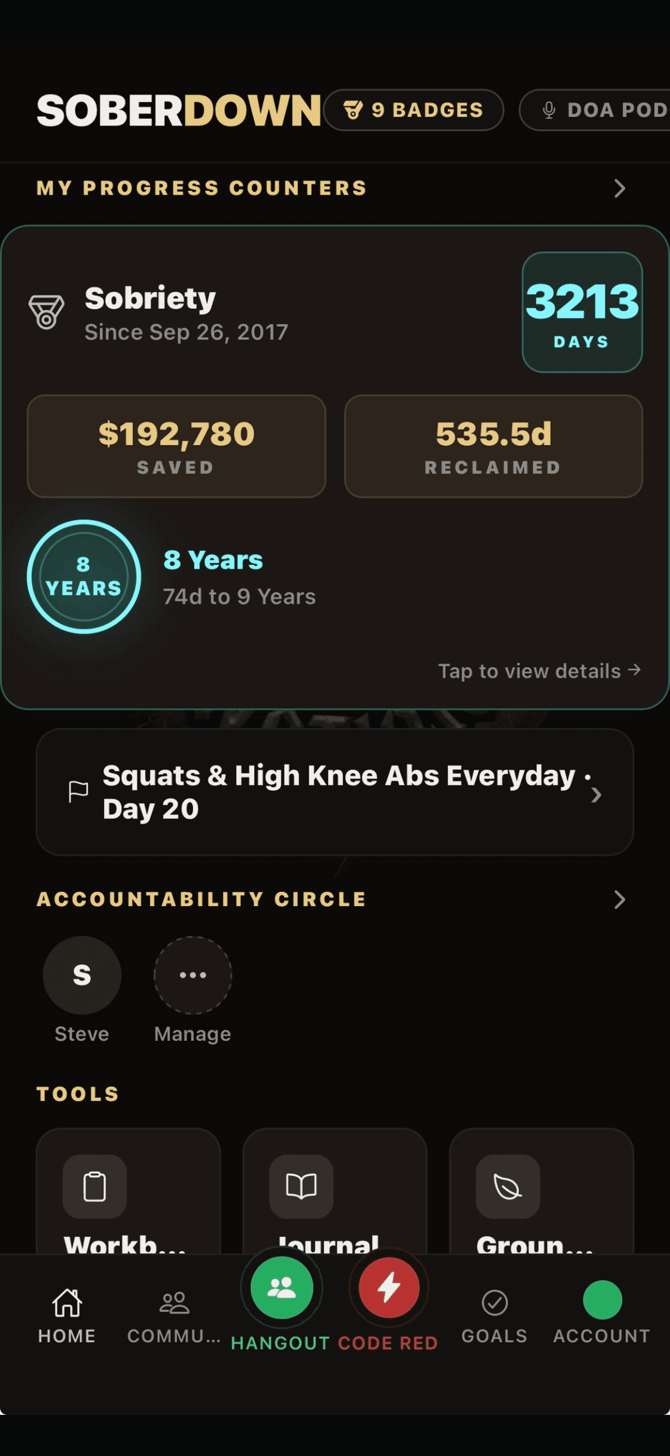 Sobriety Counter screen in SoberDown